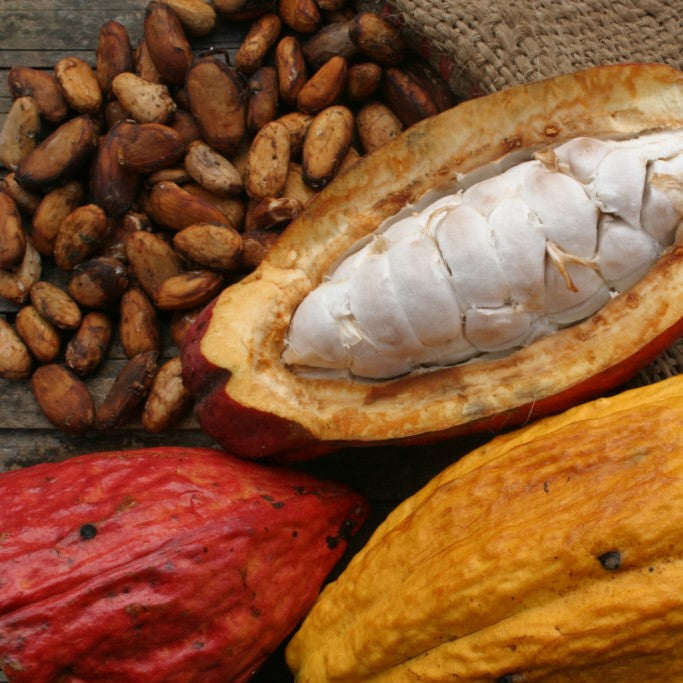 El cacao en Colombia